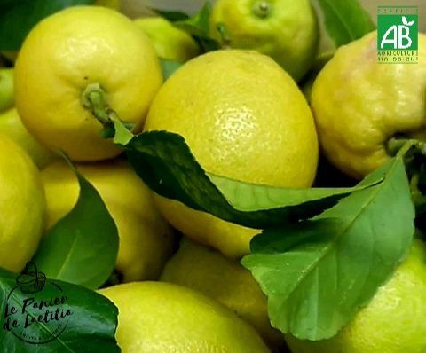 Citron jaune Bio Corse - Produits Bio réf.LPDL-000442