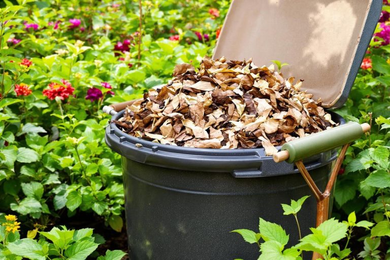 Attention : voici les 5 déchets interdits dans votre compost (vous faites sûrement).jpg