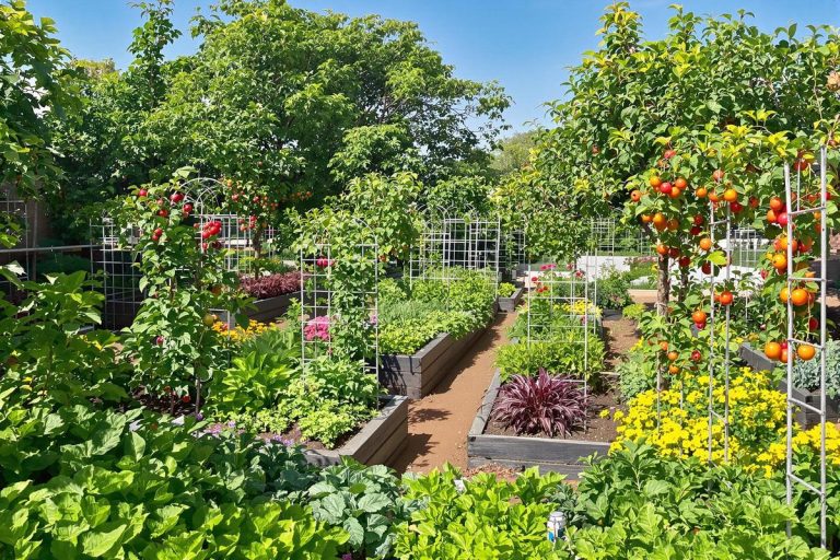 Autonomie alimentaire : quelle surface de potager prévoir ?.jpg