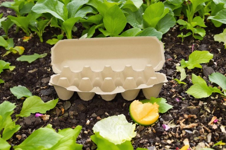 Piège naturel anti-limaces : fini les granulés chimiques.jpg