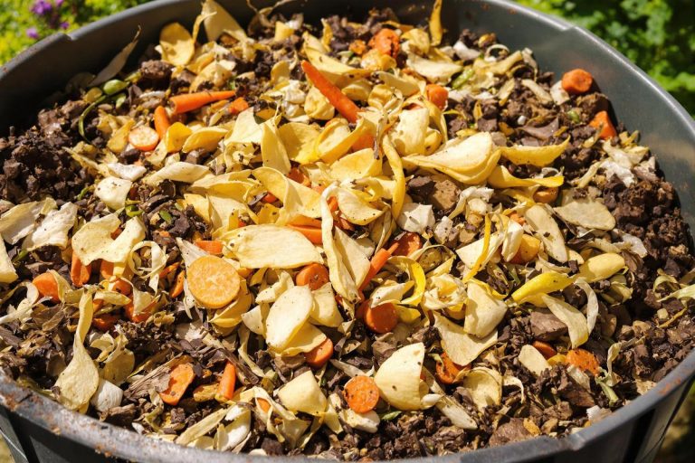 Compost : ces épluchures attirent rats et maladies, stoppez-les immédiatement.jpg
