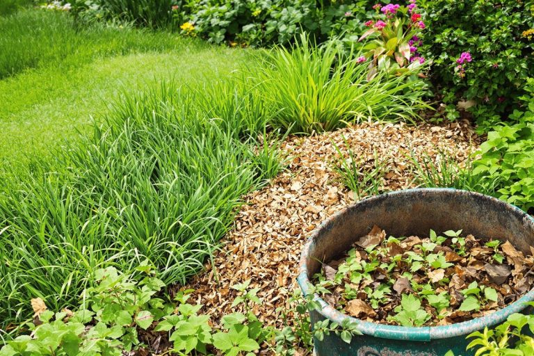 Je ne vais plus à la déchetterie : voici comment réutiliser votre herbe tondue (et c’est ultra malin).jpg